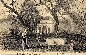 Tlemcen 037- Collection Montaner